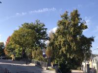 Wohnung kaufen Kirchberg klein g2ym0p4sr3x5