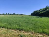 Wohnung kaufen Köditz klein w50uqqv6iny4