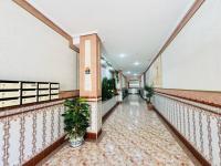 Wohnung kaufen La Mata klein 6r4edqmnivdo