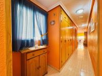 Wohnung kaufen La Mata klein j3frqehfyc8h