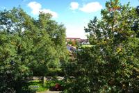 Wohnung kaufen Leipzig klein 8g694catpeuz