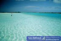 Wohnung kaufen Long Island klein 8r2d539arpgk