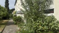 Wohnung kaufen Meersburg klein 39jw1o96umv4