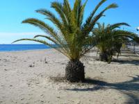 Wohnung kaufen Nea Plagia Chalkidiki klein mycu4s6q8kui