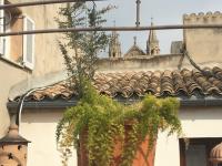 Wohnung kaufen Palma de Mallorca klein 6qwe6x7knk98