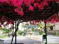 Wohnung kaufen Palma de Mallorca klein l8mpsorz0hpu