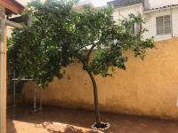 Wohnung kaufen Palma de Mallorca klein q55yfl1ha4a1