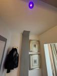 Wohnung kaufen Pirmasens klein 72ok0g5a6wb7