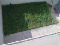 Wohnung kaufen Pula klein ifws8uss118k