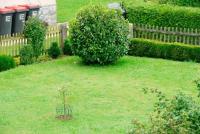 Wohnung kaufen Ranshofen klein 0edapno99xu4