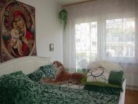 Wohnung kaufen Rastatt klein do6re8iq9kql