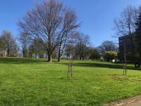 Wohnung kaufen St. Augustin klein ag1kjs1tt2iw