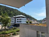 Wohnung kaufen St. Blasien klein g49ly7pvbbda
