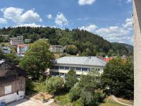 Wohnung kaufen St. Blasien klein utw7z0d9lpah