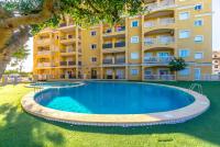 Wohnung kaufen Torrevieja klein lu9n1ak8fdr0