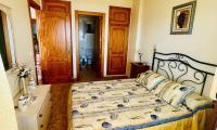 Wohnung kaufen Torrevieja klein u0ylw7klct6y