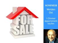 Wohnung kaufen Weiden in der Oberpfalz klein ln2ejd1ldto6