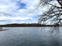 Wohnung kaufen Werdau klein ekj8gjbzwlvd