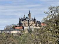 Wohnung kaufen Wernigerode klein rxf7kbni9ud8