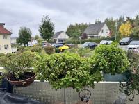 Wohnung kaufen Zwickau klein aklrivd93qyj