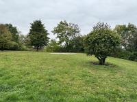 Wohnung kaufen Zwickau klein hlzsu7mcphl6