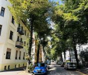 Wohnung kaufen Zwickau klein morglfxib4b7