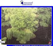 Wohnung mieten Aachen klein mh2igoegx4u9