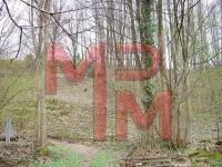 Wohnung mieten Bad Wildbad klein u085vh2giw8n