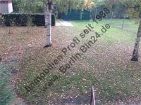 Wohnung mieten Berlin klein p9idexbyy3fl