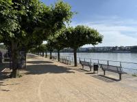 Wohnung mieten Bonn klein cq41e7vdkix7