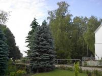 Wohnung mieten Borkheide klein uz6xe5eg4nyo