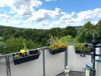 Wohnung mieten Buchholz (Landkreis Schaumburg) klein 4wqsgutokg2n