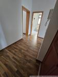 Wohnung mieten Chemnitz klein 28avizpk6vjj