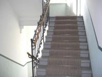 Wohnung mieten Chemnitz klein 38vl8p29sxct