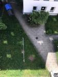 Wohnung mieten Chemnitz klein 5jtgf7u63wwy