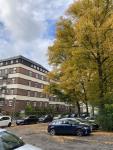 Wohnung mieten Chemnitz klein 8m019nrpxdhx