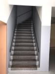 Wohnung mieten Chemnitz klein jb10z5xrj24p