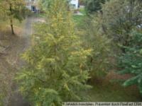 Wohnung mieten Chemnitz klein l8hipt8bs0v7