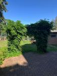 Wohnung mieten Chemnitz klein qjl2hh6d4k0y