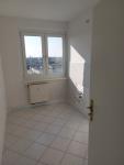Wohnung mieten Dessau-Roßlau klein 5hg6hrk7zrly