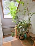 Wohnung mieten Dresden klein 8pocyms5k9g8