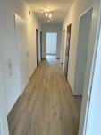 Wohnung mieten Hagenburg klein chkslcv479x6
