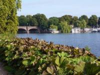Wohnung mieten Hamburg klein 96ys8nc2trwb