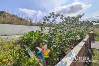 Wohnung mieten Hennickendorf klein 1rkmtc6jqt65