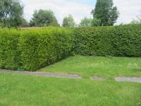 Wohnung mieten Holzminden klein tls0epfnc43g
