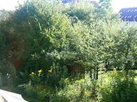 Wohnung mieten klein c3dab19pjgey