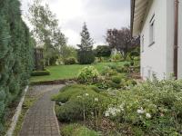 Wohnung mieten Knüllwald klein t62iy74g3lah