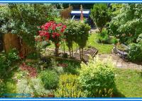 Wohnung mieten Köthen (Anhalt) klein u6jt0ik5t5ms