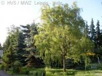 Wohnung mieten Leipzig klein idlcc3n7e7k4