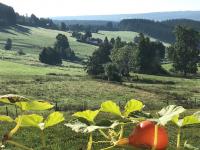 Wohnung mieten Lenzkirch klein so4ad2ynd8f9